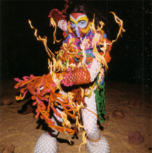 bjork-4p.jpg
